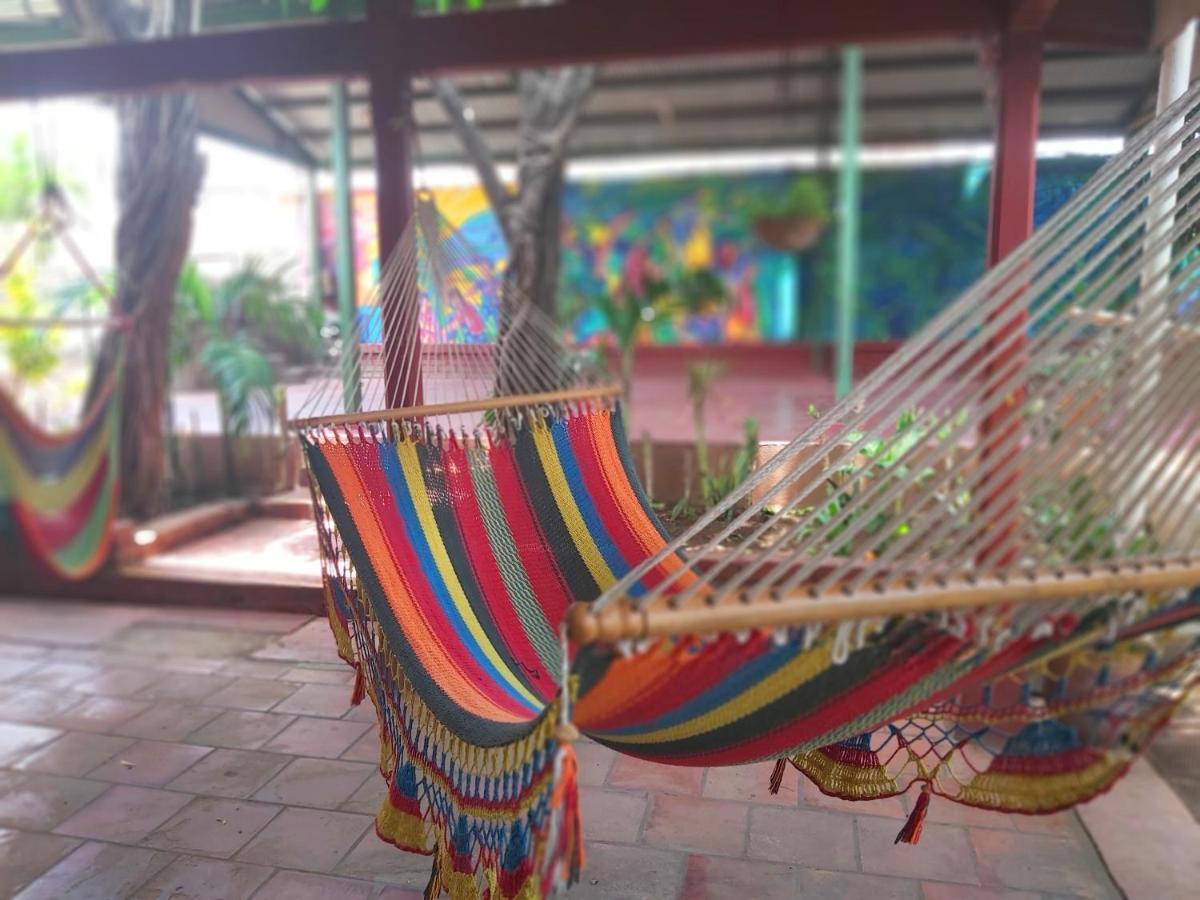 Casa Benjamin Linder Hotel Managua Exterior photo